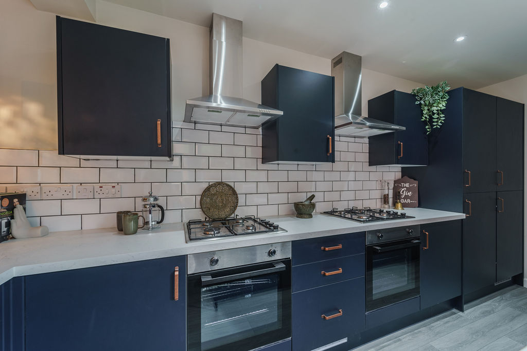 Modern shared kitchen with navy cabinets